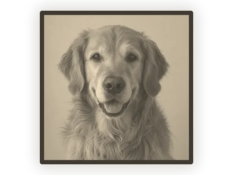A golden retriever portrait, lit from behind as a lithophane